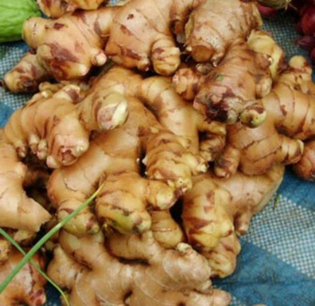 Manfaat-Jahe_copy_640x621