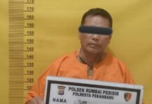 Gelapkan 3 Ekor Sapi Kurban, Pria di Rumbai Timur Diamankan Polisi