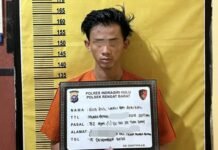 Cabuli Anak Dibawah Umur, Karyawan Pasar Malam Diringkus Polsek Rengat Barat