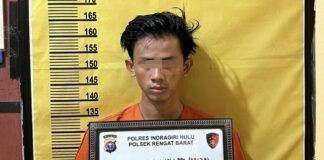 Cabuli Anak Dibawah Umur, Karyawan Pasar Malam Diringkus Polsek Rengat Barat