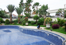 Membuat Konsep Taman Vertikal Untuk Halaman Rumah