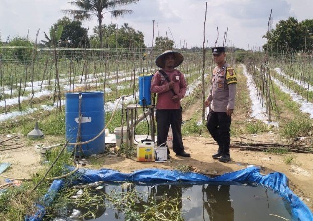 Tak Hanya Jaga Kamtibmas, Polsek Binawidya Ikut Kawal Program Swasembada Pangan IMG-20260530-WA0009_copy_640x453