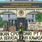 Diduga Tampung Sawit Ilegal dari Kawasan HPT, PT PCS Segera Dilaporkan ke KLHK 1782375496724
